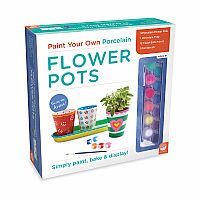 Paint Your Own: Porcelain Flower Pots