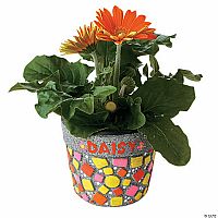 Paint Your Own Stone: Mosaic Flower Pot