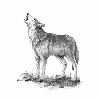 Sketch Art Mini - Howl