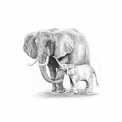 Sketch Art Mini - Elephant & Baby