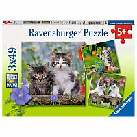Tiger Kittens (3 x 49 pc) Ravensburger