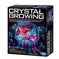 Crystal Growing Light-Up Display