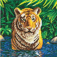 Crystal Art - MD Tiger Pool