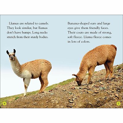 Llamas (Level 2)