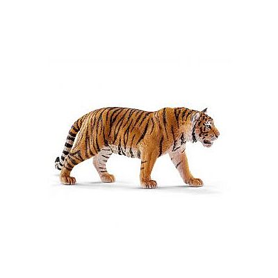 Tiger (14729)