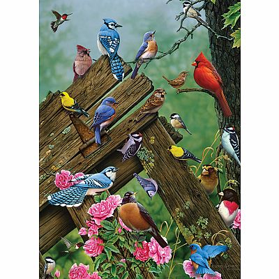 Birds Of The Forest (1000 pc) Cobble Hill - Kite and Kaboodle