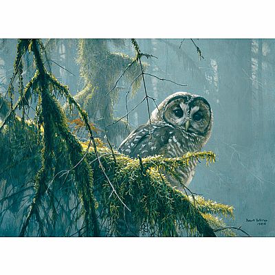 Mossy Branches - Spotted Owl (500 pc) Cobble Hill