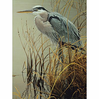 Great Blue Heron (500 pc) Cobble Hill