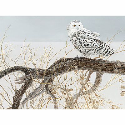 Fallen Willow Snowy Owl (500 pc) Cobble Hill