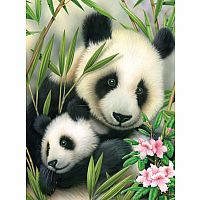 Paint By Number JR - Panda & Baby