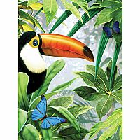 Paint By Number JR - Jungle Toucan