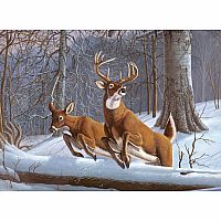 Paint By Number Adult - White Tails