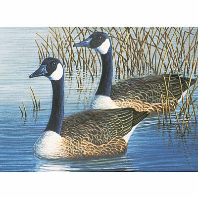 Paint By Number Adult - Geese