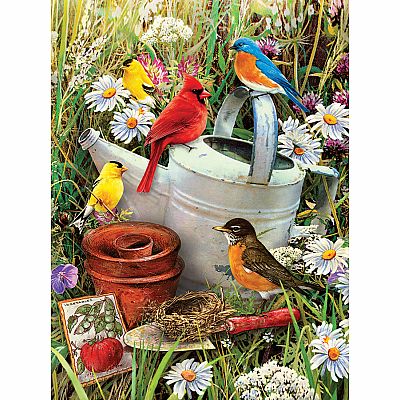 Paint By Number JR -  Garden Birds