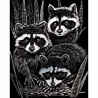 Engraving Art Silver - Raccoons