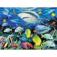 Paint By Number JR Large - Reef Sharks
