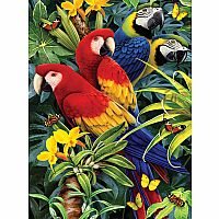 Paint By Number JR - Majestic Macaws
