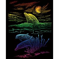 Engraving Art Rainbow - Dolphin Reef