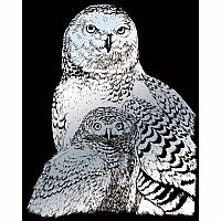 Engraving Art Silver - Snowy Owls